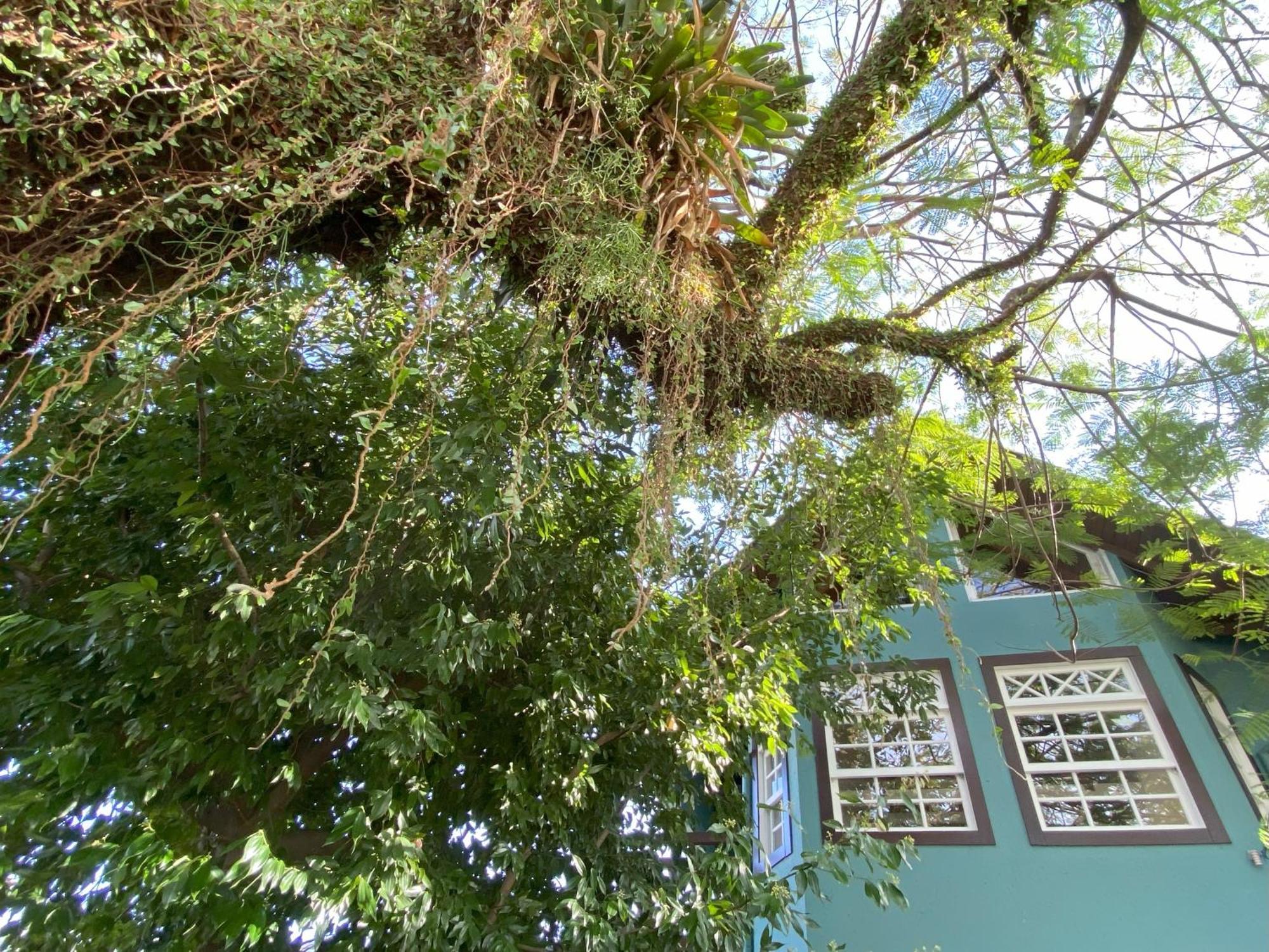 Solar das Pétalas Guest House Florianópolis Exterior foto